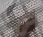 1788841954000.webp