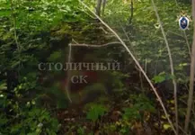 В Москве мигранта задержали за изнасилование и убийство официантки спустя 13 лет.webp