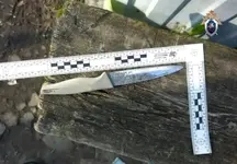 Сын пытался убить 70-летнего отца в Омской области из-за сна о мести.webp
